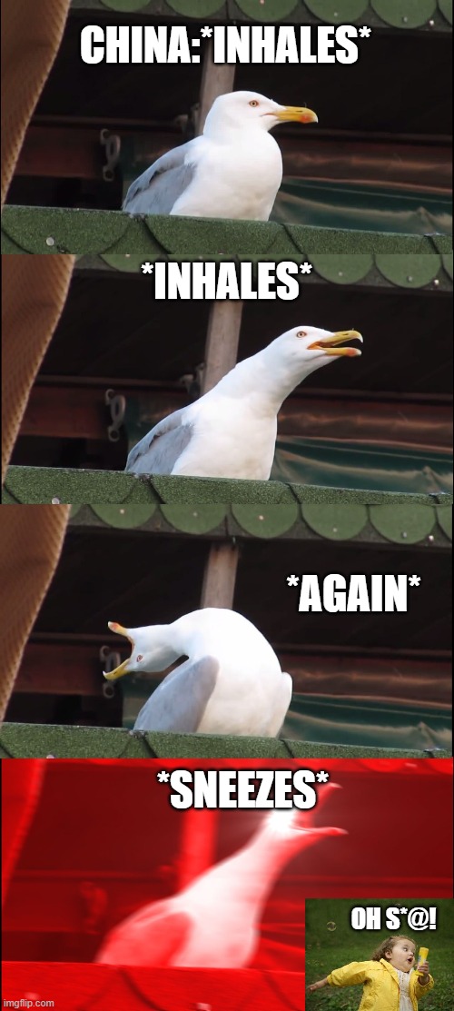 Inhaling Seagull Meme | CHINA:*INHALES*; *INHALES*; *AGAIN*; *SNEEZES*; OH S*@! | image tagged in memes,inhaling seagull | made w/ Imgflip meme maker