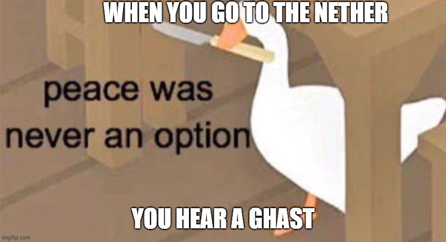 Untitled Goose Peace Was Never an Option | WHEN YOU GO TO THE NETHER; YOU HEAR A GHAST | image tagged in untitled goose peace was never an option | made w/ Imgflip meme maker