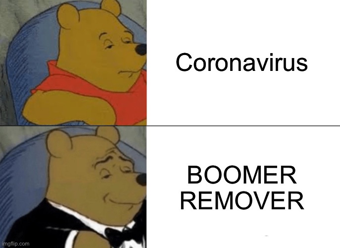 CORONAVIRUS IS CRAZY | Coronavirus; BOOMER
REMOVER | image tagged in memes,tuxedo winnie the pooh,coronavirus,dank memes,covid-19 | made w/ Imgflip meme maker