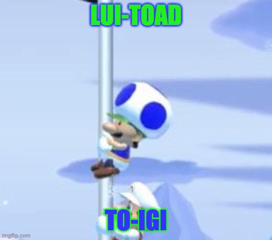 I don't know where to post this | LUI-TOAD; TO-IGI | made w/ Imgflip meme maker