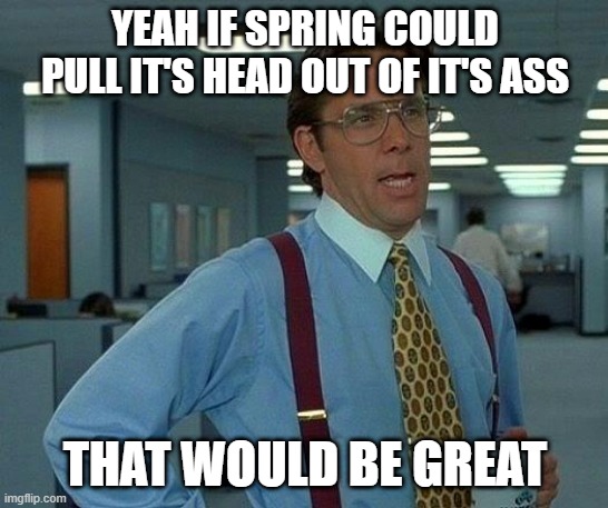 That Would Be Great Meme | YEAH IF SPRING COULD PULL IT'S HEAD OUT OF IT'S ASS; THAT WOULD BE GREAT | image tagged in memes,that would be great | made w/ Imgflip meme maker