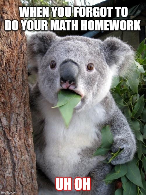 Surprised Koala | WHEN YOU FORGOT TO DO YOUR MATH HOMEWORK; UH OH | image tagged in memes,surprised koala | made w/ Imgflip meme maker