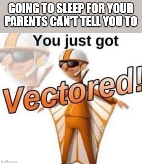 You just got vectored | GOING TO SLEEP FOR YOUR PARENTS CAN'T TELL YOU TO | image tagged in you just got vectored | made w/ Imgflip meme maker