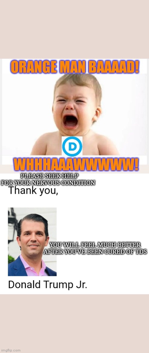 PLEASE SEEK HELP FOR YOUR NERVOUS CONDITION YOU WILL FEEL MUCH BETTER AFTER YOU'VE BEEN CURED OF TDS | made w/ Imgflip meme maker