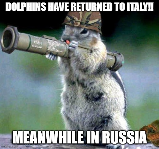 russia be like | DOLPHINS HAVE RETURNED TO ITALY!! MEANWHILE IN RUSSIA | image tagged in memes,bazooka squirrel | made w/ Imgflip meme maker