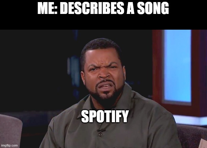 Really? Ice Cube | ME: DESCRIBES A SONG; SPOTIFY | image tagged in really ice cube | made w/ Imgflip meme maker