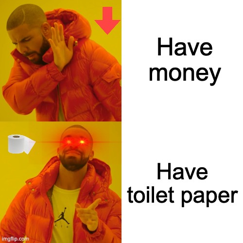 Drake Hotline Bling Meme | Have money; Have toilet paper | image tagged in memes,drake hotline bling | made w/ Imgflip meme maker