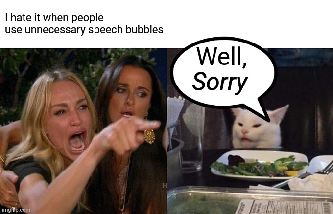 Woman Yelling At Cat Meme | I hate it when people use unnecessary speech bubbles; Well, Sorry | image tagged in memes,woman yelling at cat | made w/ Imgflip meme maker
