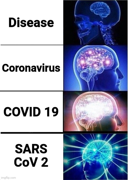 Expanding Brain | Disease; Coronavirus; COVID 19; SARS CoV 2 | image tagged in memes,expanding brain | made w/ Imgflip meme maker