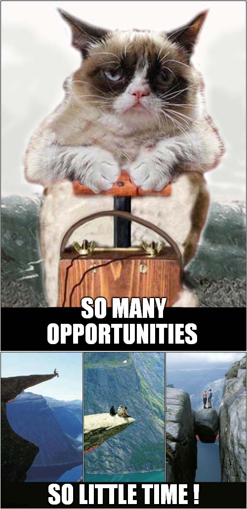 Grumpys Mountain Hobby | SO MANY OPPORTUNITIES; SO LITTLE TIME ! | image tagged in fun,grumpy cat,mountains | made w/ Imgflip meme maker