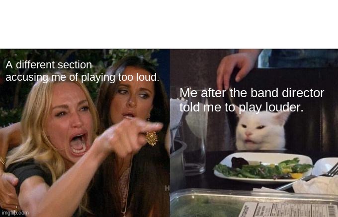 Woman Yelling At Cat | A different section accusing me of playing too loud. Me after the band director told me to play louder. | image tagged in memes,woman yelling at cat | made w/ Imgflip meme maker