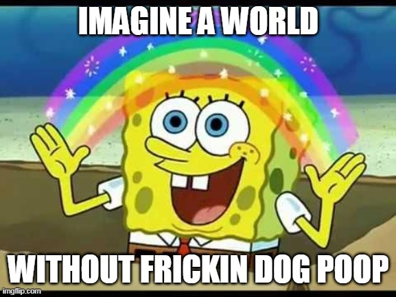 spongebob imagination | IMAGINE A WORLD; WITHOUT FRICKIN DOG POOP | image tagged in spongebob imagination | made w/ Imgflip meme maker
