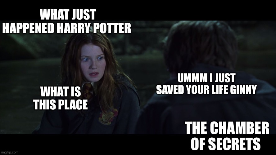 ginny face | WHAT JUST HAPPENED HARRY POTTER; UMMM I JUST SAVED YOUR LIFE GINNY; WHAT IS THIS PLACE; THE CHAMBER OF SECRETS | image tagged in ginny face | made w/ Imgflip meme maker