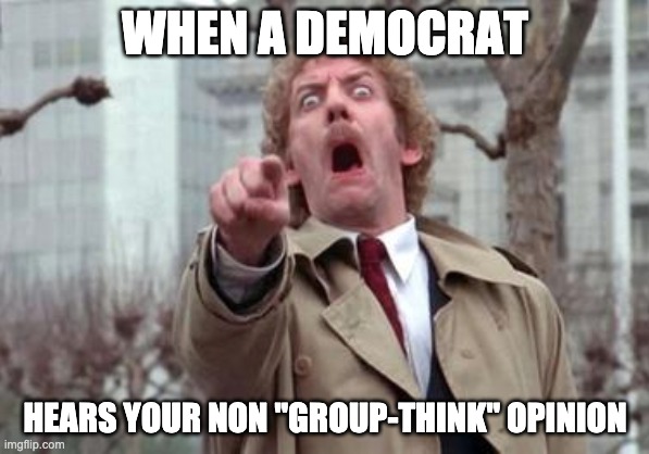 Democrat Group Think | WHEN A DEMOCRAT; HEARS YOUR NON "GROUP-THINK" OPINION | image tagged in political meme | made w/ Imgflip meme maker