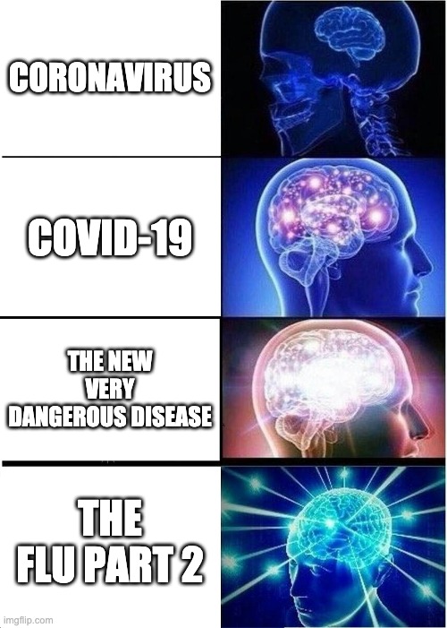 Expanding Brain | CORONAVIRUS; COVID-19; THE NEW VERY DANGEROUS DISEASE; THE FLU PART 2 | image tagged in memes,expanding brain | made w/ Imgflip meme maker
