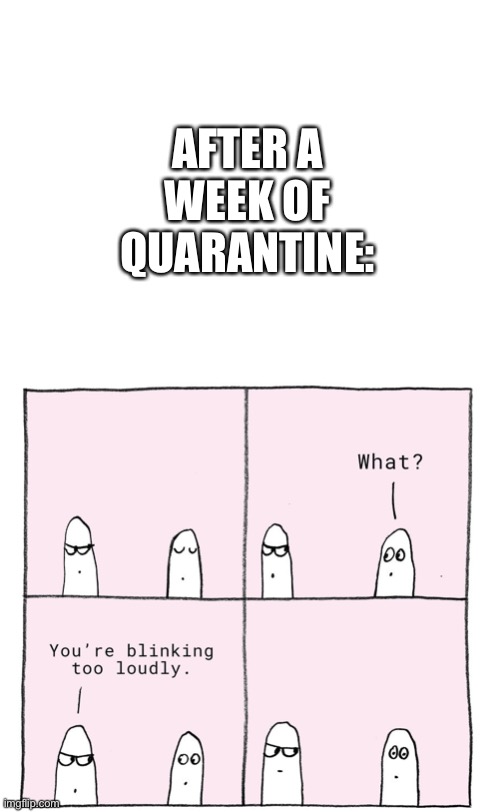 AFTER A WEEK OF QUARANTINE: | image tagged in blank white template | made w/ Imgflip meme maker