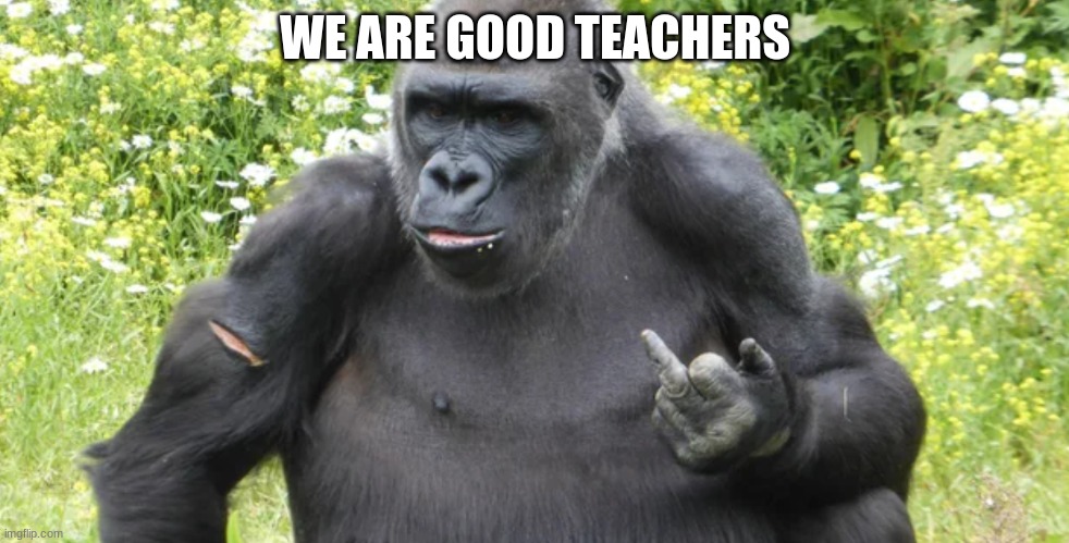 Gorillas learn too much from us | WE ARE GOOD TEACHERS | image tagged in gorillas learn too much from us | made w/ Imgflip meme maker