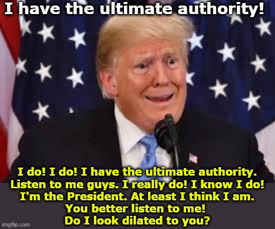 Donald Trump, unhinged, untethered and visibly unraveling more and more each day. | I have the ultimate authority! I do! I do! I have the ultimate authority.
Listen to me guys. I really do! I know I do!
I'm the President. At least I think I am.
You better listen to me! 
Do I look dilated to you? | image tagged in trump dilated and taken aback,trump,crazy,nuts,losing | made w/ Imgflip meme maker