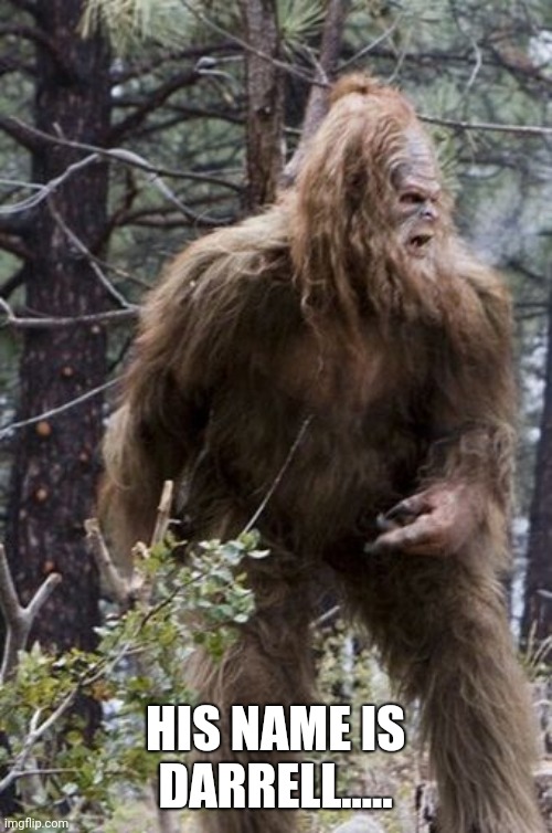 HIS NAME IS DARRELL..... | image tagged in bigfoot | made w/ Imgflip meme maker