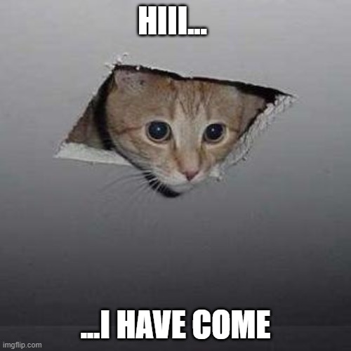 Ceiling Cat | HIII... ...I HAVE COME | image tagged in memes,ceiling cat | made w/ Imgflip meme maker