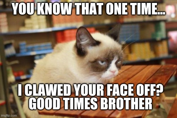 Grumpy Cat Table | YOU KNOW THAT ONE TIME... I CLAWED YOUR FACE OFF? GOOD TIMES BROTHER | image tagged in memes,grumpy cat table,grumpy cat | made w/ Imgflip meme maker