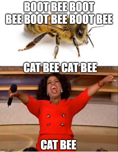 oprah meme bees