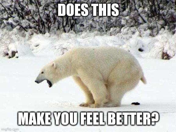 Polar Bear Shits in the Snow | DOES THIS MAKE YOU FEEL BETTER? | image tagged in polar bear shits in the snow | made w/ Imgflip meme maker
