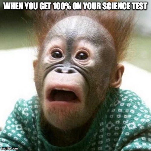 Smart Monkey | WHEN YOU GET 100% ON YOUR SCIENCE TEST | image tagged in funny,monkey,school,science,shocked | made w/ Imgflip meme maker