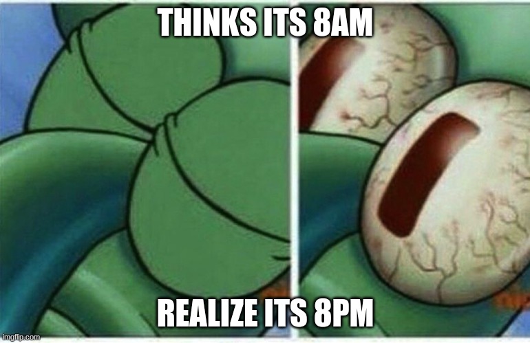 Squidward | THINKS ITS 8AM; REALIZE ITS 8PM | image tagged in squidward | made w/ Imgflip meme maker