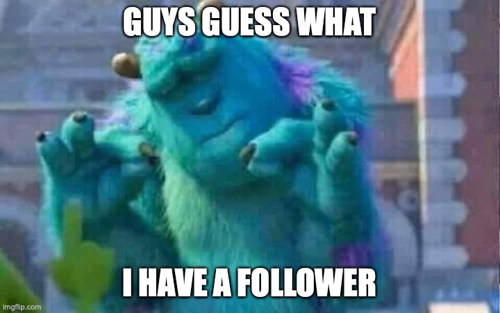 Sully shutdown | GUYS GUESS WHAT; I HAVE A FOLLOWER | image tagged in sully shutdown | made w/ Imgflip meme maker