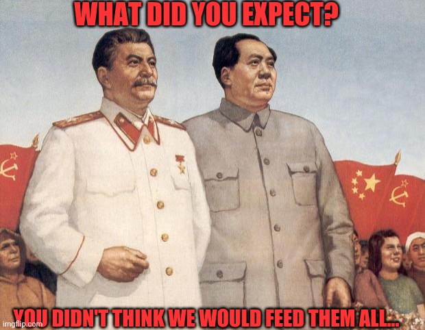 Stalin and Mao | WHAT DID YOU EXPECT? YOU DIDN'T THINK WE WOULD FEED THEM ALL... | image tagged in stalin and mao | made w/ Imgflip meme maker