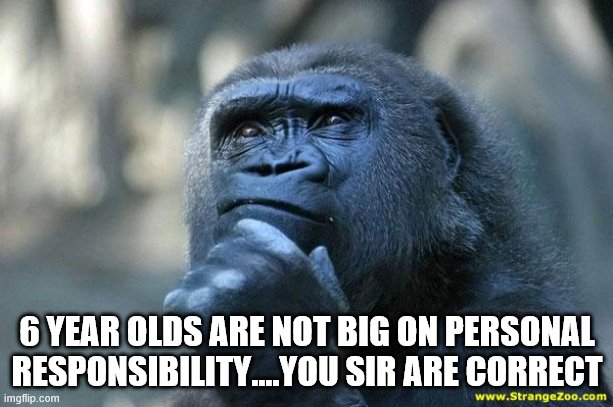 Deep Thoughts | 6 YEAR OLDS ARE NOT BIG ON PERSONAL RESPONSIBILITY....YOU SIR ARE CORRECT | image tagged in deep thoughts | made w/ Imgflip meme maker