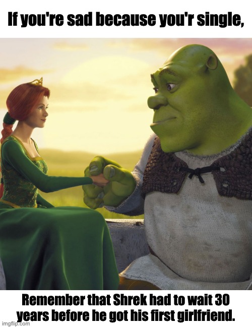 Single? | If you're sad because you'r single, Remember that Shrek had to wait 30 years before he got his first girlfriend. | image tagged in shrek and fiona,single,girlfriend | made w/ Imgflip meme maker