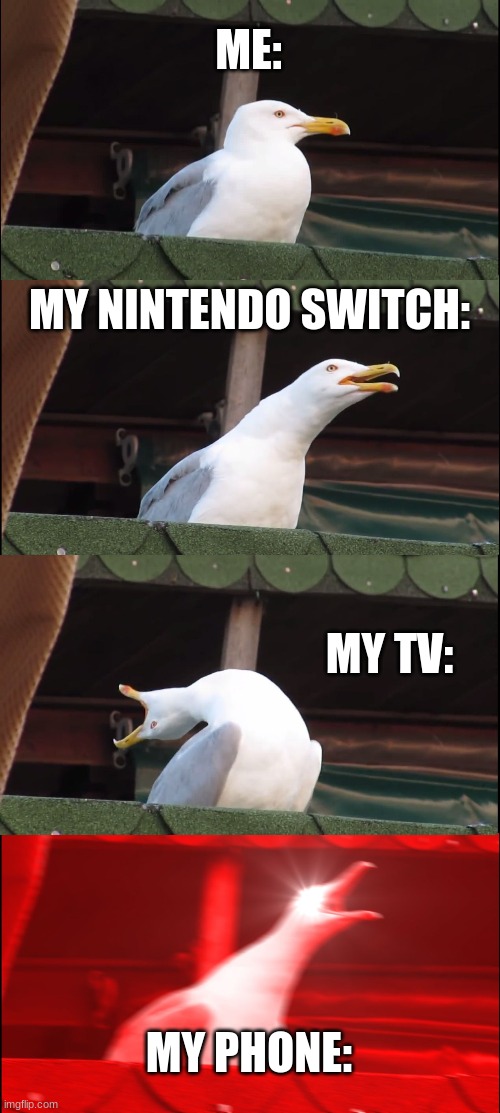 Inhaling Seagull Meme | ME:; MY NINTENDO SWITCH:; MY TV:; MY PHONE: | image tagged in memes,inhaling seagull | made w/ Imgflip meme maker