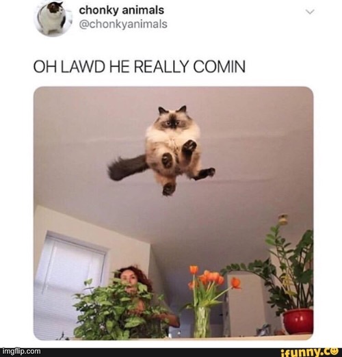 Oh lawn he really comin | image tagged in oh lawn he really comin | made w/ Imgflip meme maker