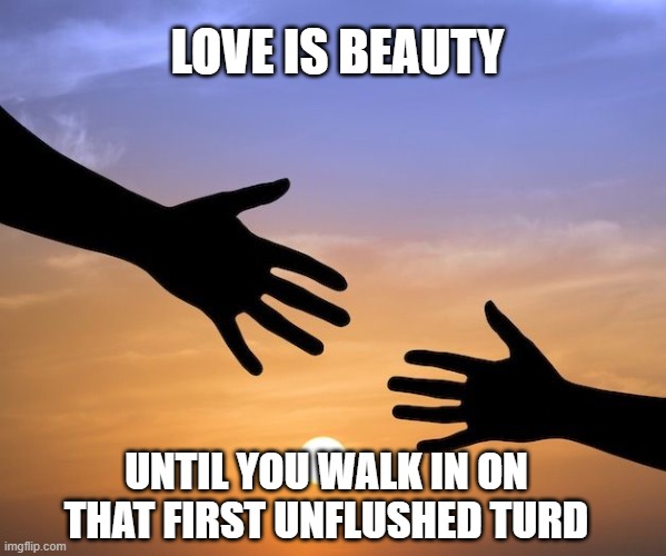 Hands Coming Together | LOVE IS BEAUTY; UNTIL YOU WALK IN ON THAT FIRST UNFLUSHED TURD | image tagged in funny,memes,funny memes,lmao,breaking up | made w/ Imgflip meme maker