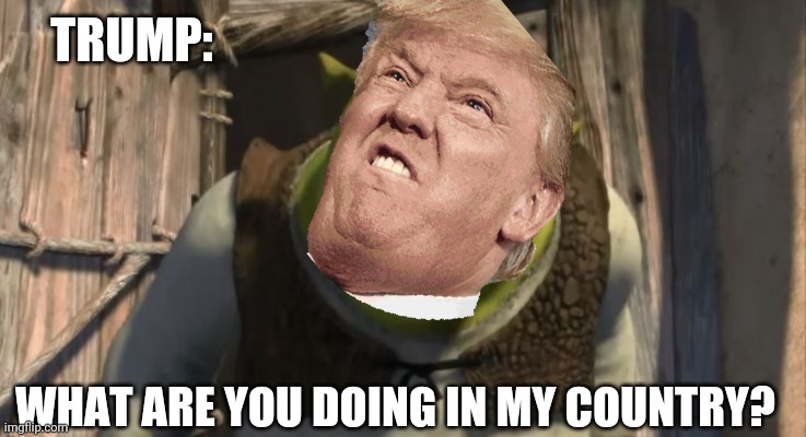 Shrek What are you doing in my swamp? | TRUMP:; WHAT ARE YOU DOING IN MY COUNTRY? | image tagged in shrek what are you doing in my swamp | made w/ Imgflip meme maker