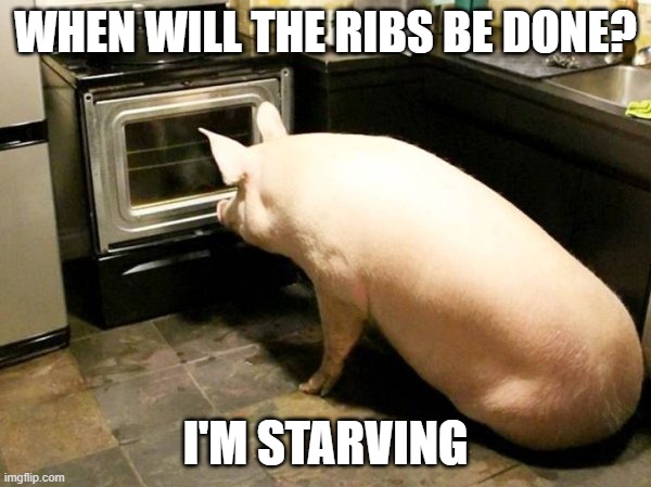 hungry pig | WHEN WILL THE RIBS BE DONE? I'M STARVING | image tagged in ribs | made w/ Imgflip meme maker