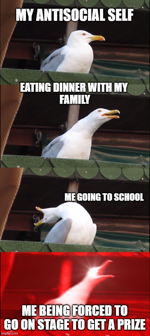 Inhaling Seagull | MY ANTISOCIAL SELF; EATING DINNER WITH MY 
FAMILY; ME GOING TO SCHOOL; ME BEING FORCED TO GO ON STAGE TO GET A PRIZE | image tagged in memes,inhaling seagull | made w/ Imgflip meme maker