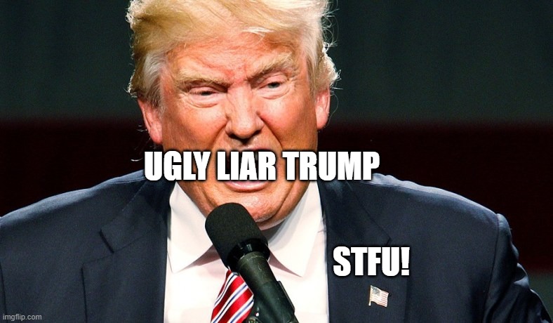 THE LIAR IN CHIEF CANNOT BE TRUSTED | UGLY LIAR TRUMP; STFU! | image tagged in liar trump,coronavirus,corona virus,covid19,covid-19,donald trump is an idiot | made w/ Imgflip meme maker