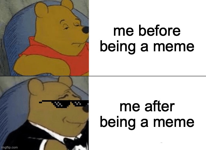 Tuxedo Winnie The Pooh | me before being a meme; me after being a meme | image tagged in memes,tuxedo winnie the pooh | made w/ Imgflip meme maker
