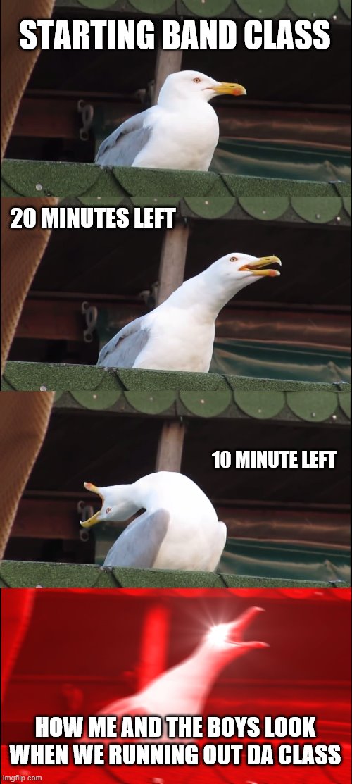 Inhaling Seagull Meme | STARTING BAND CLASS; 20 MINUTES LEFT; 10 MINUTE LEFT; HOW ME AND THE BOYS LOOK WHEN WE RUNNING OUT DA CLASS | image tagged in memes,inhaling seagull | made w/ Imgflip meme maker