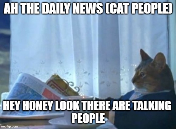I Should Buy A Boat Cat Meme | AH THE DAILY NEWS (CAT PEOPLE); HEY HONEY LOOK THERE ARE TALKING 
PEOPLE | image tagged in memes,i should buy a boat cat | made w/ Imgflip meme maker