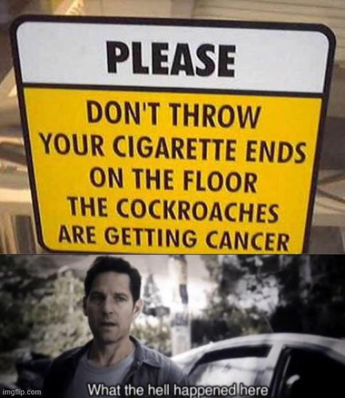 Cockroaches Have Cancer?! | image tagged in what the hell happened here,hold up,wait thats illegal,cancer,cockroach,why am i doing this | made w/ Imgflip meme maker