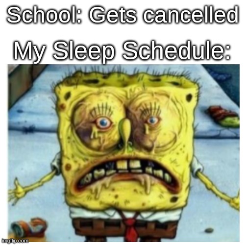 The sleep schedule | My Sleep Schedule:; School: Gets cancelled | image tagged in memes,blank transparent square,quarantine,spongebob | made w/ Imgflip meme maker