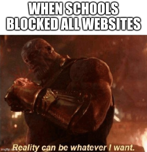 Reality can be whatever I want. | WHEN SCHOOLS BLOCKED ALL WEBSITES | image tagged in reality can be whatever i want,school | made w/ Imgflip meme maker