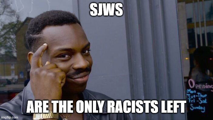 Roll Safe Think About It Meme | SJWS ARE THE ONLY RACISTS LEFT | image tagged in memes,roll safe think about it | made w/ Imgflip meme maker