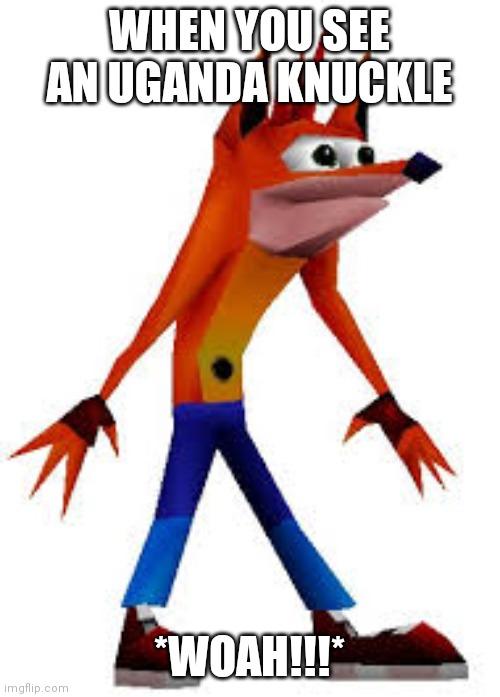 Crash Bandicoot | WHEN YOU SEE AN UGANDA KNUCKLE; *WOAH!!!* | image tagged in crash bandicoot | made w/ Imgflip meme maker