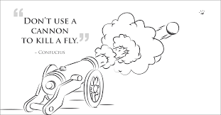 Don't use a canon to kill a fly Blank Meme Template