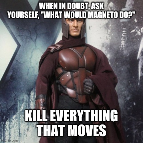 Magneto Meme | WHEN IN DOUBT, ASK YOURSELF, "WHAT WOULD MAGNETO DO?"; KILL EVERYTHING THAT MOVES | image tagged in magneto,what would jesus do,marvel,memes | made w/ Imgflip meme maker